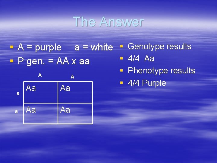 The Answer § A = purple a = white § Genotype results § 4/4