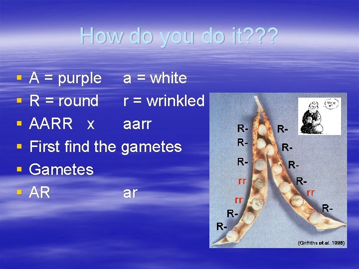 How do you do it? ? ? § § § A = purple a