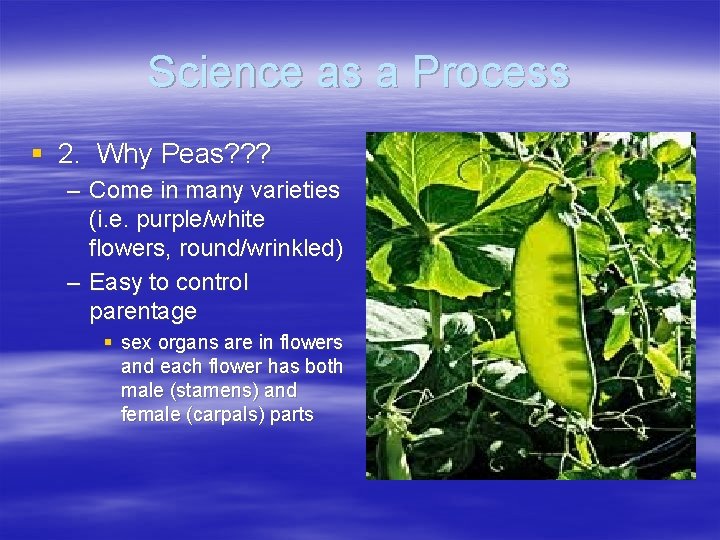Science as a Process § 2. Why Peas? ? ? – Come in many