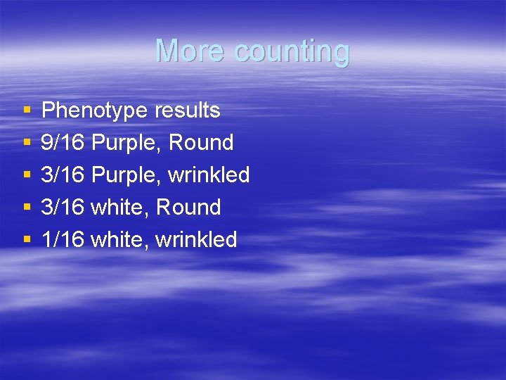 More counting § § § Phenotype results 9/16 Purple, Round 3/16 Purple, wrinkled 3/16