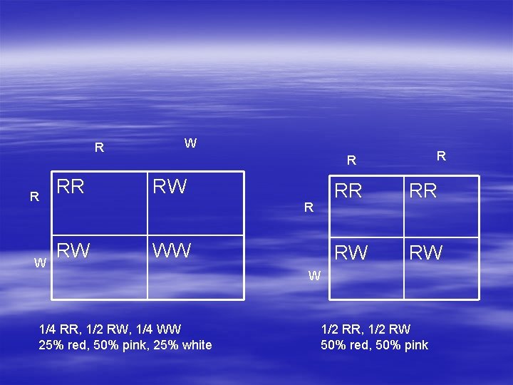 R R W RW R R WW 1/4 RR, 1/2 RW, 1/4 WW 25%