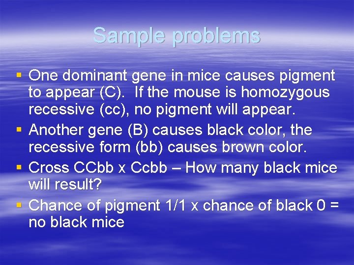 Sample problems § One dominant gene in mice causes pigment to appear (C). If