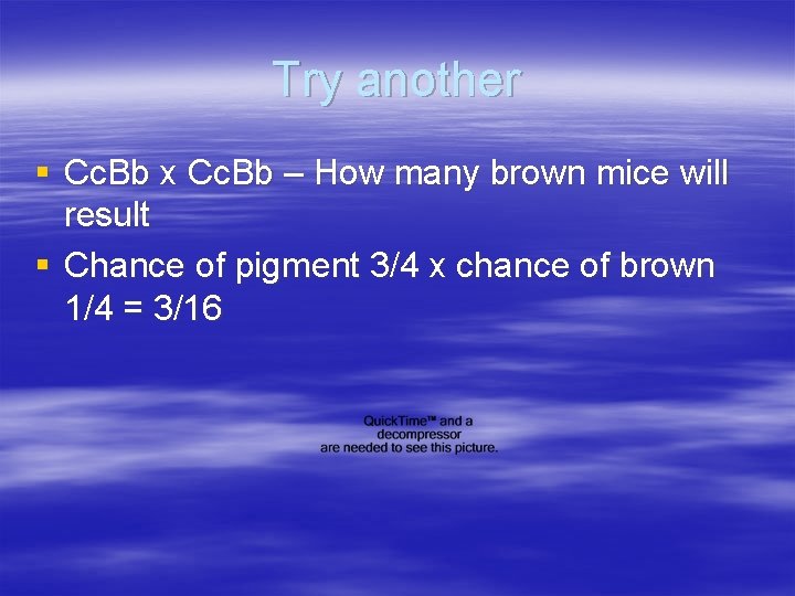 Try another § Cc. Bb x Cc. Bb – How many brown mice will