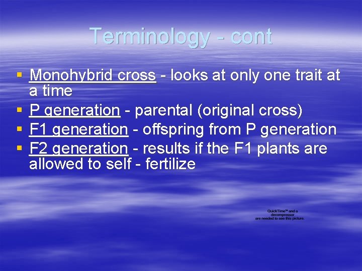 Terminology - cont § Monohybrid cross - looks at only one trait at a