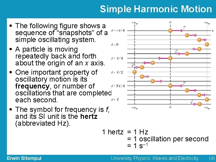 Simple Harmonic Motion § The following figure shows a sequence of “snapshots” of a