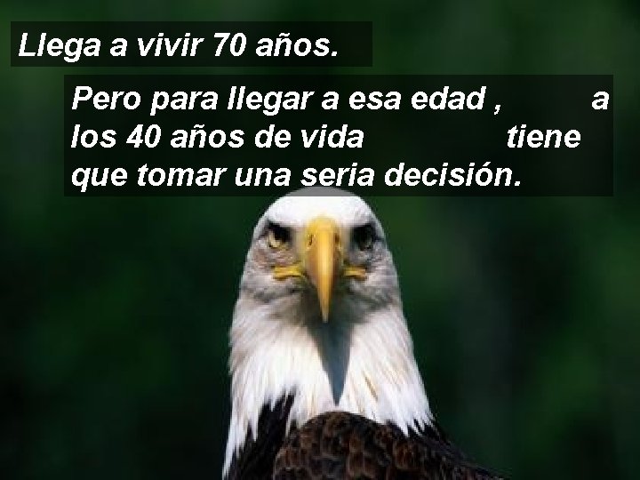 Llega a vivir 70 años. Pero para llegar a esa edad , a los
