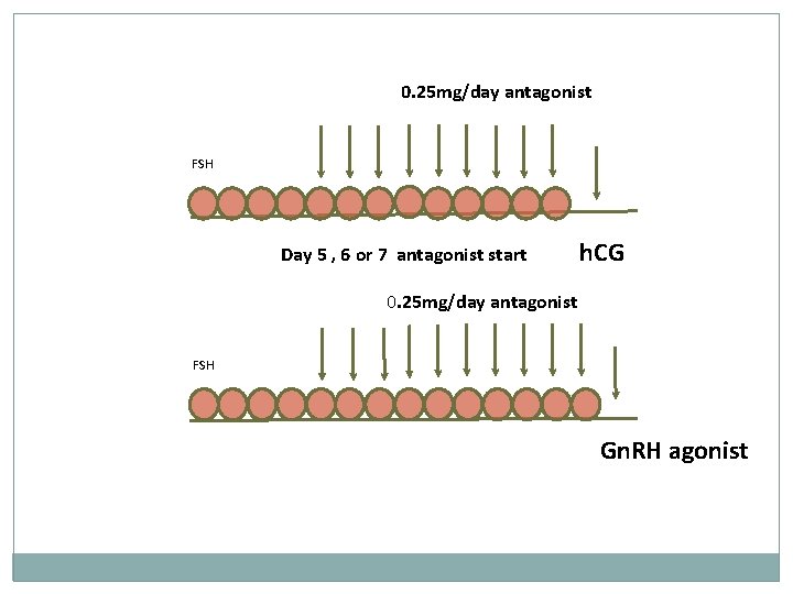 0. 25 mg/day antagonist FSH Day 5 , 6 or 7 antagonist start h.