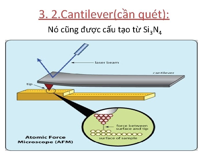 3. 2. Cantilever(cần quét): Nó cũng được cấu tạo từ Si 3 N 4