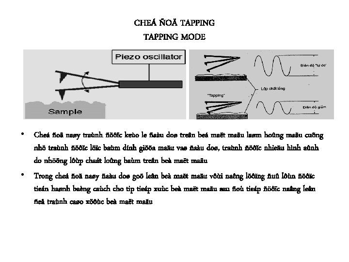 CHEÁ ÑOÄ TAPPING MODE • Cheá ñoä naøy traùnh ñöôïc keùo le ñaàu doø CHEÁ ÑOÄ TAPPING MODE • Cheá ñoä naøy traùnh ñöôïc keùo le ñaàu doø