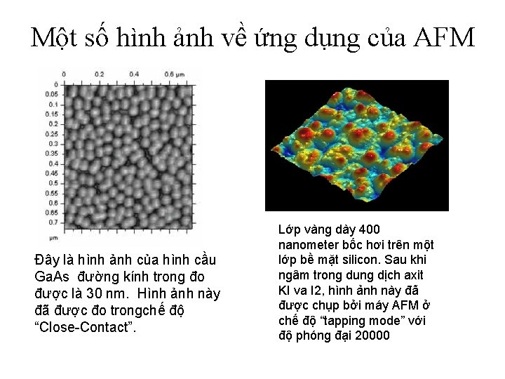 Một số hình ảnh về ứng dụng của AFM Đây là hình ảnh của