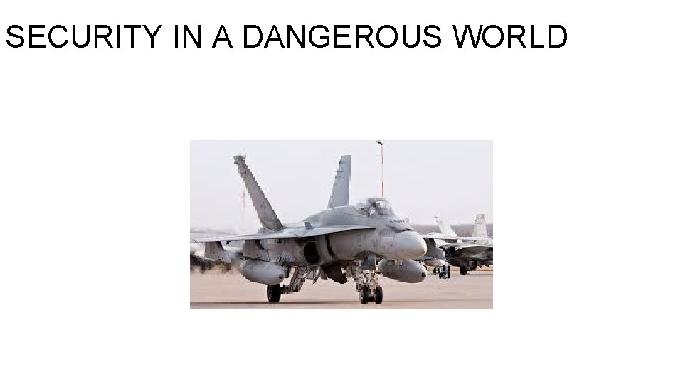 SECURITY IN A DANGEROUS WORLD 