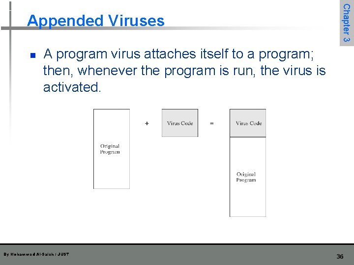 n Chapter 3 Appended Viruses A program virus attaches itself to a program; then,