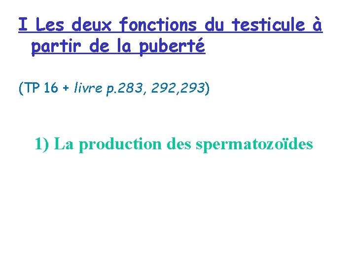 I Les deux fonctions du testicule à partir de la puberté (TP 16 + I Les deux fonctions du testicule à partir de la puberté (TP 16 +