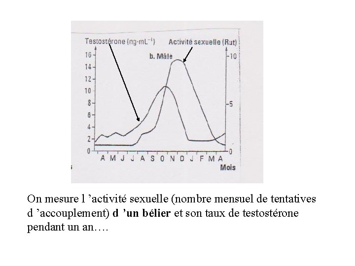 On mesure l ’activité sexuelle (nombre mensuel de tentatives d ’accouplement) d ’un bélier On mesure l ’activité sexuelle (nombre mensuel de tentatives d ’accouplement) d ’un bélier