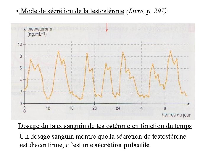 • Mode de sécrétion de la testostérone (Livre, p. 297) Dosage du taux • Mode de sécrétion de la testostérone (Livre, p. 297) Dosage du taux