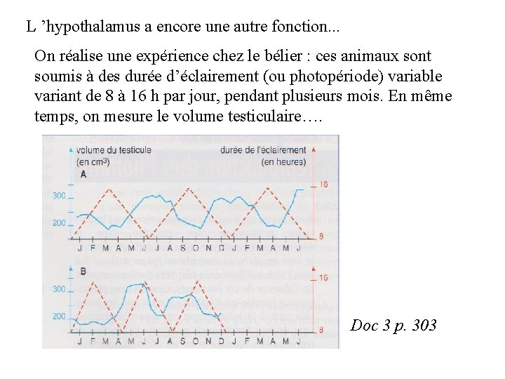 L ’hypothalamus a encore une autre fonction. . . On réalise une expérience chez L ’hypothalamus a encore une autre fonction. . . On réalise une expérience chez