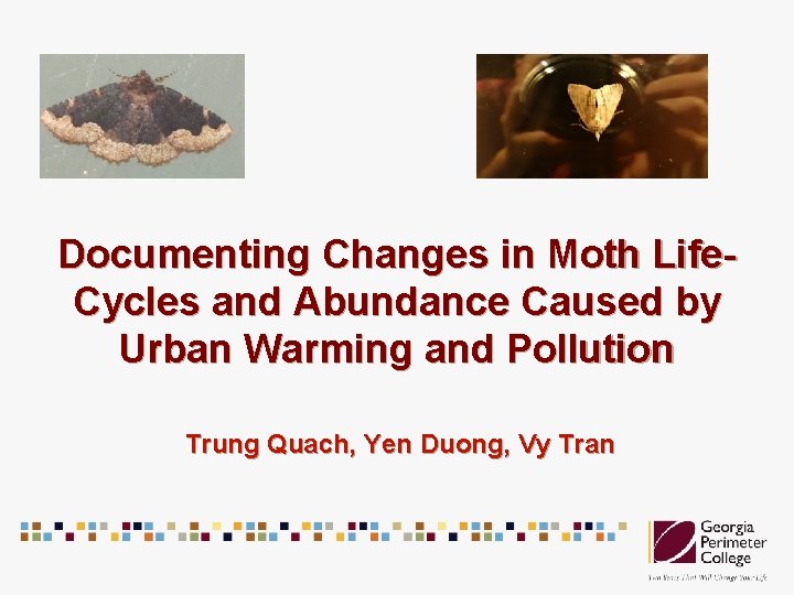 Documenting Changes in Moth Life. Cycles and Abundance Caused by Urban Warming and Pollution