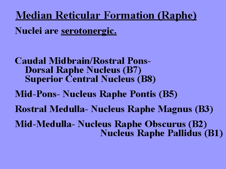 Median Reticular Formation (Raphe) Nuclei are serotonergic. Caudal Midbrain/Rostral Pons. Dorsal Raphe Nucleus (B