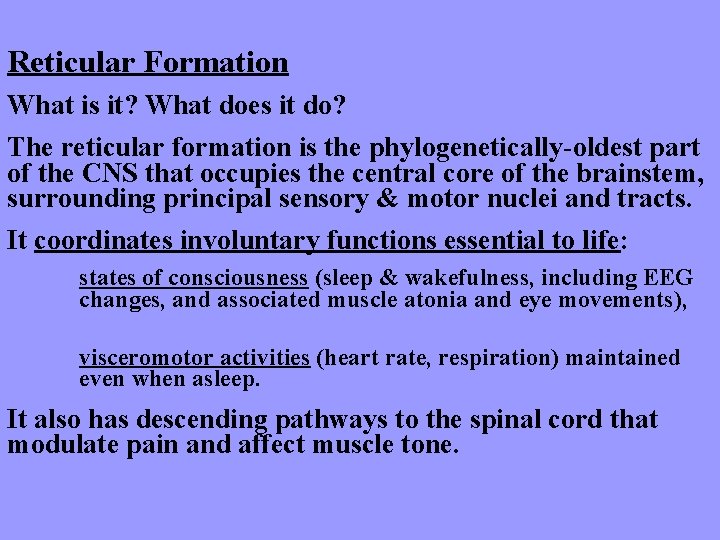 Reticular Formation What is it? What does it do? The reticular formation is the