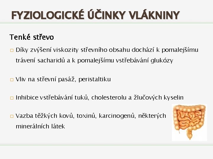 FYZIOLOGICKÉ ÚČINKY VLÁKNINY Tenké střevo � Díky zvýšení viskozity střevního obsahu dochází k pomalejšímu