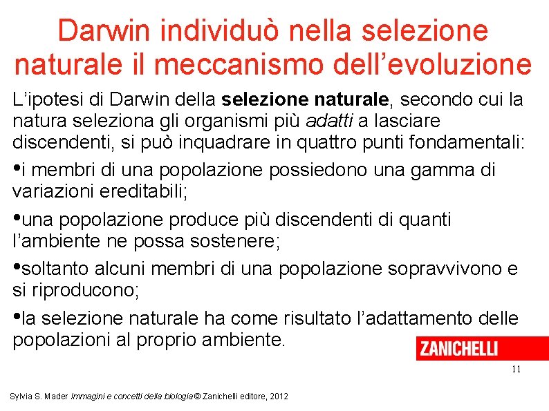 Darwin individuò nella selezione naturale il meccanismo dell’evoluzione L’ipotesi di Darwin della selezione naturale,