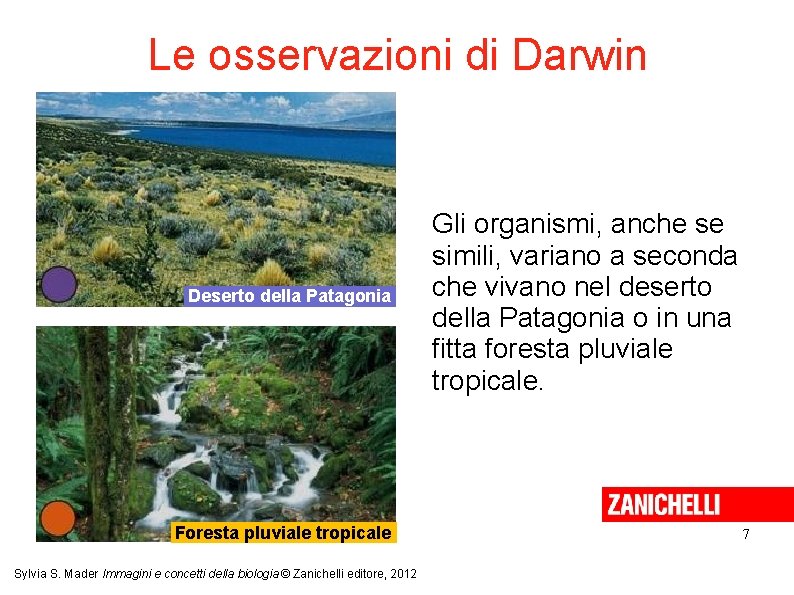 Le osservazioni di Darwin Deserto della Patagonia Foresta pluviale tropicale Sylvia S. Mader Immagini