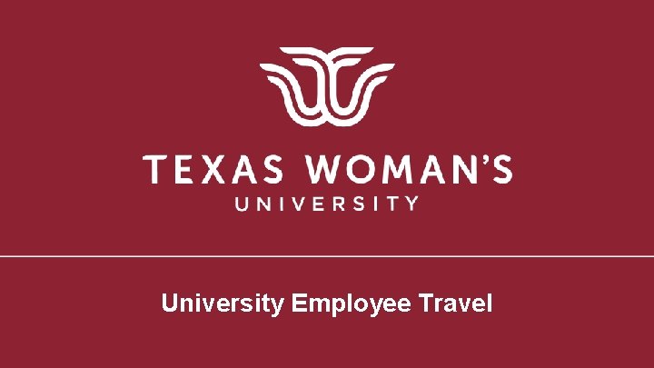 University Employee Travel 