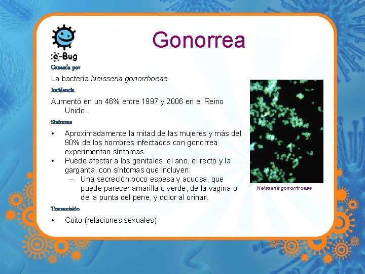 Gonorrea Causada por La bacteria Neisseria gonorrhoeae Incidencia Aumentó en un 46% entre 1997