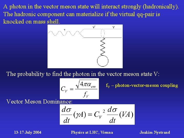 A photon in the vector meson state will interact strongly (hadronically). The hadronic component