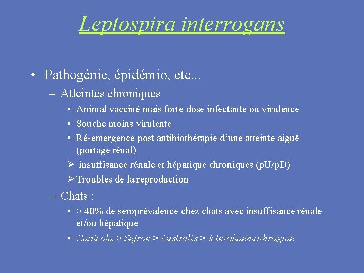 Leptospira interrogans • Pathogénie, épidémio, etc. . . – Atteintes chroniques • Animal vacciné