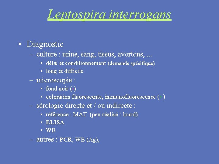Leptospira interrogans • Diagnostic – culture : urine, sang, tissus, avortons, . . .