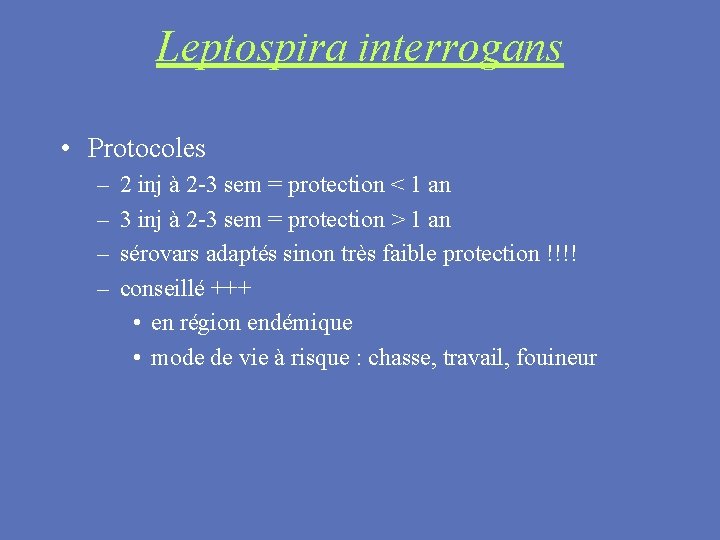 Leptospira interrogans • Protocoles – – 2 inj à 2 -3 sem = protection
