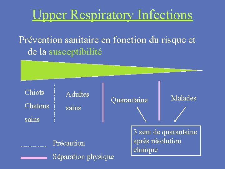 Upper Respiratory Infections Prévention sanitaire en fonction du risque et de la susceptibilité Chiots