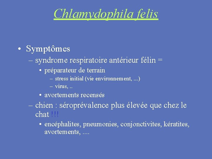 Chlamydophila felis • Symptômes – syndrome respiratoire antérieur félin = • préparateur de terrain