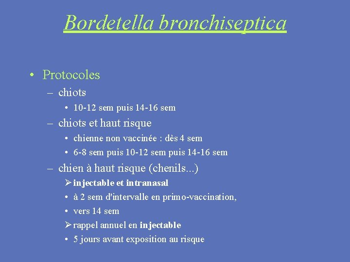 Bordetella bronchiseptica • Protocoles – chiots • 10 -12 sem puis 14 -16 sem