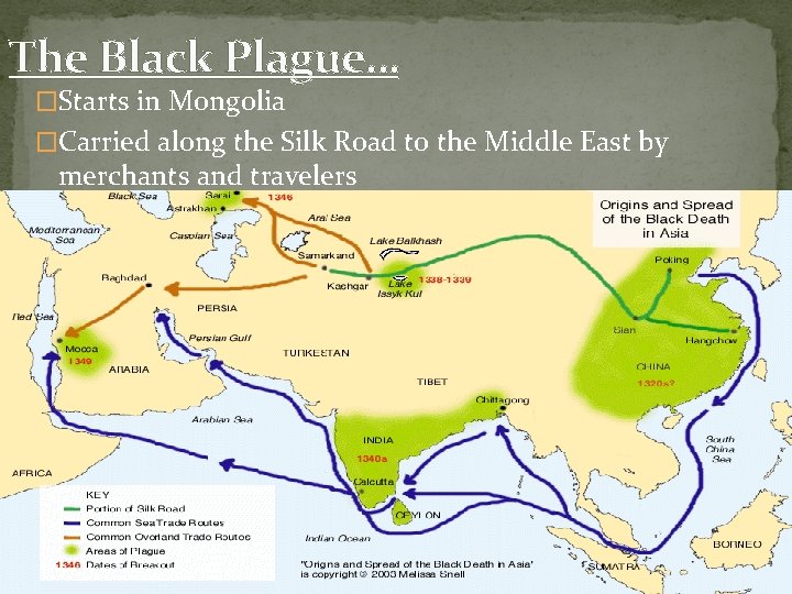 The Black Plague… �Starts in Mongolia �Carried along the Silk Road to the Middle