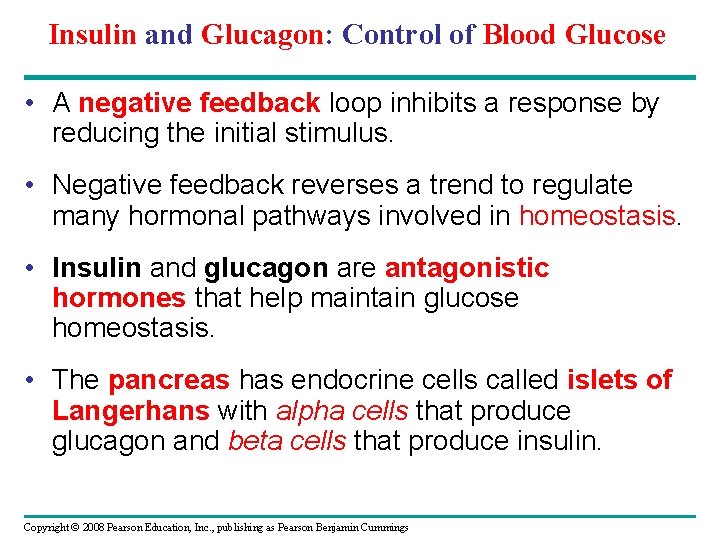 Insulin and Glucagon: Control of Blood Glucose • A negative feedback loop inhibits a