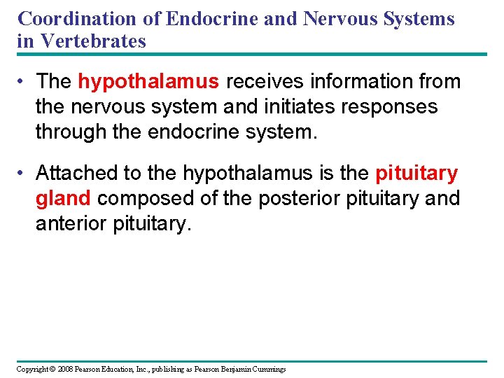 Coordination of Endocrine and Nervous Systems in Vertebrates • The hypothalamus receives information from