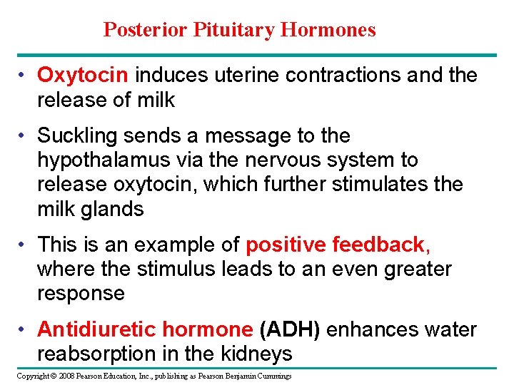 Posterior Pituitary Hormones • Oxytocin induces uterine contractions and the release of milk •