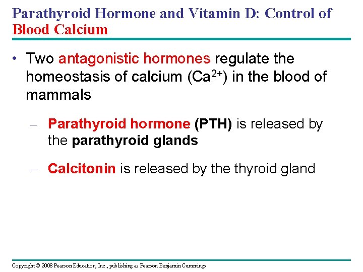 Parathyroid Hormone and Vitamin D: Control of Blood Calcium • Two antagonistic hormones regulate