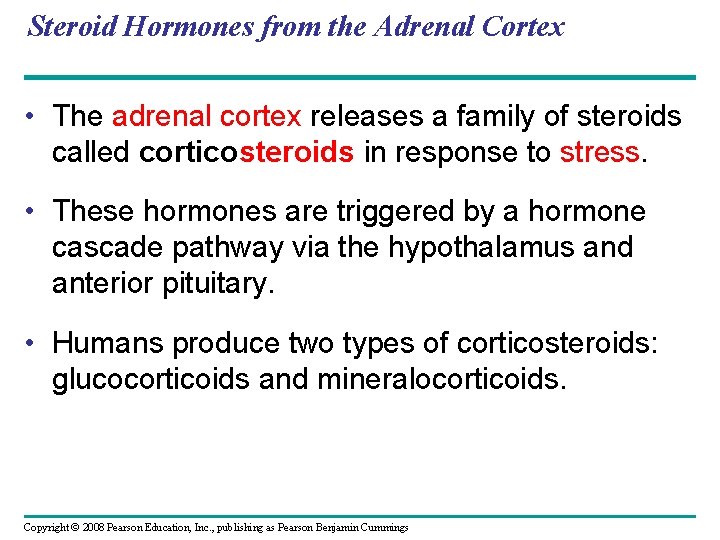 Steroid Hormones from the Adrenal Cortex • The adrenal cortex releases a family of