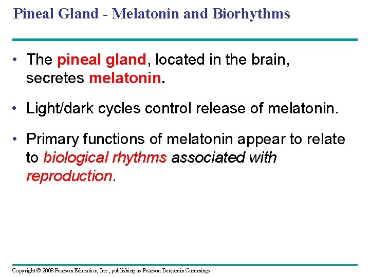 Pineal Gland - Melatonin and Biorhythms • The pineal gland, located in the brain,