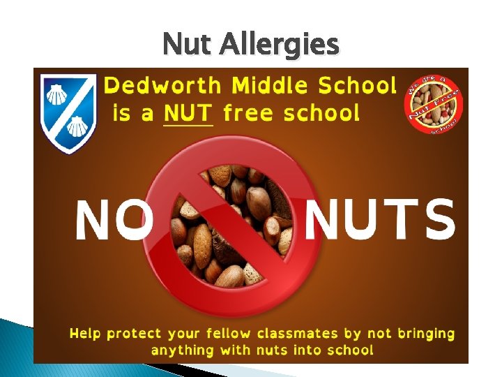 Nut Allergies 