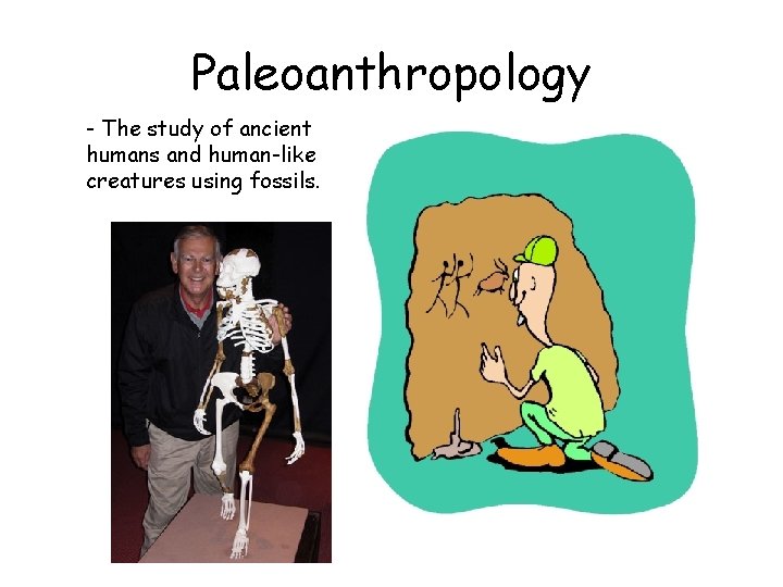 Paleoanthropology - The study of ancient humans and human-like creatures using fossils. 