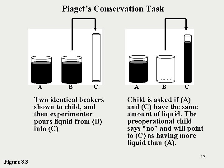 Piaget’s Conservation Task A B C Two identical beakers shown to child, and then