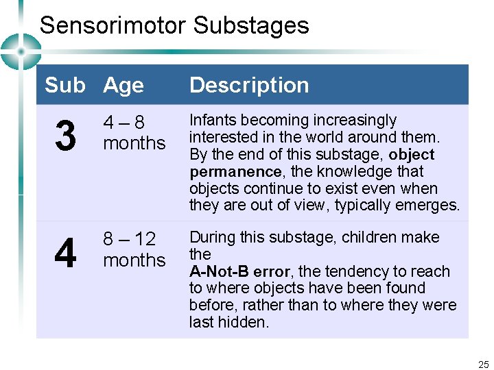 Sensorimotor Substages Sub Age Description 3 4– 8 months Infants becoming increasingly interested in