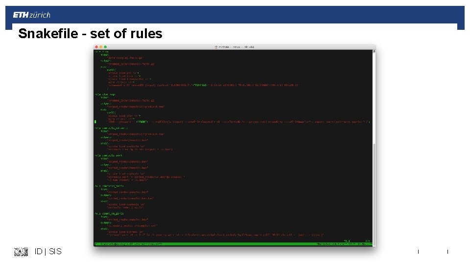 Snakefile – set of rules ID | SIS | | 