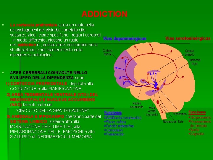 ADDICTION § § La corteccia prefrontale gioca un ruolo nella eziopatogenesi del disturbo correlato