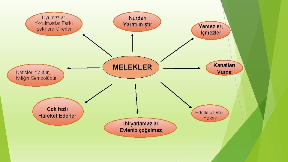 . Uyumazlar, Yorulmazlar Farklı şekillere Girerler Nefisleri Yoktur, İyiliğin Sembolüdür Nurdan Yaratılmıştır MELEKLER Çok