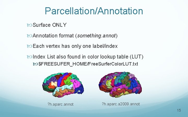 Parcellation/Annotation Surface ONLY Annotation format (something. annot) Each vertex has only one label/index Index